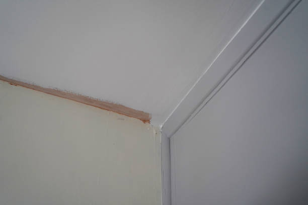 istock Close up of decorating a wall DIY 1350281549