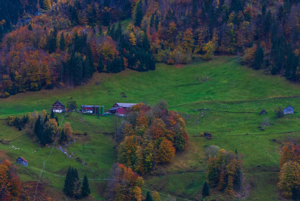istock Colourful charming fascinated autumn landscape in mountains 1350281759