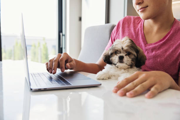 istock Teenager Boy Using Laptop 1350281892