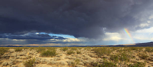 istock Storm clouds and rainbow over California desert 135028610