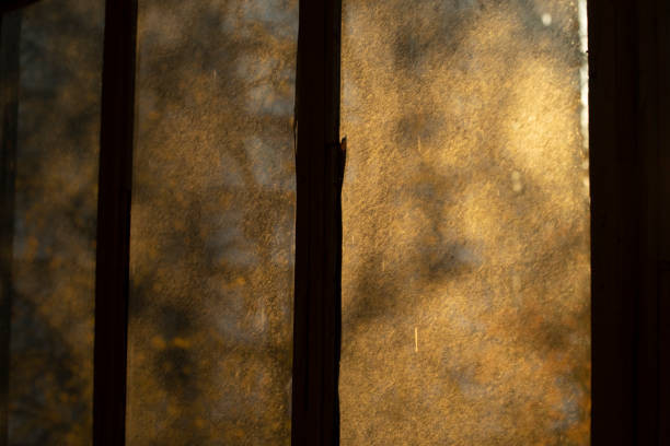 istock Dirty windows. Glass covered with pollen. 1350288203