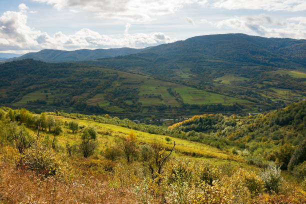 istock rural landscape in mountains 1350289622