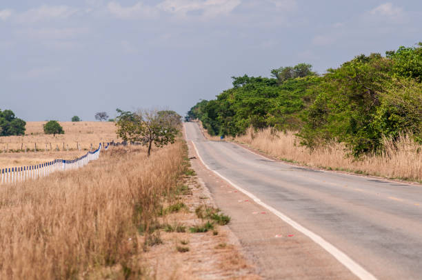 istock heat distortion over tropical road 1350289626