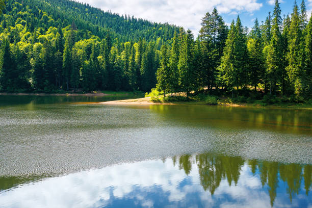 istock mountain lake in summer 1350289678