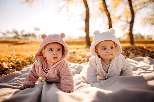 Cute identical twin babies laying on the blanket surrounded with yellow leaves and fruits in a fall park