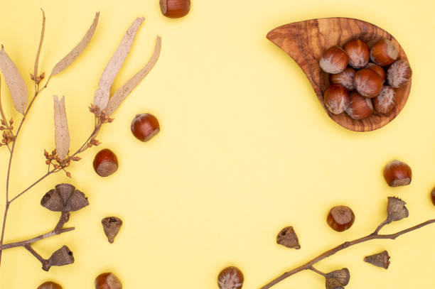 istock Hazelnuts in an olive bowl on a yellow background. Nuts scattered, dry eucalyptus leaves, seeds of eucalyptus capsules, autumn flat lay, copy space 1350292016
