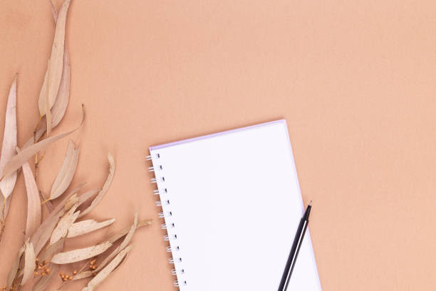 istock Top view of blank notepad, pen, dry eucalyptus leaves on beige backdrop. Autumn composition 1350292143
