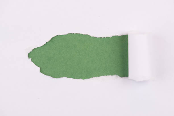 istock White torn paper, green background, empty copy space, ripped sheet 1350301016