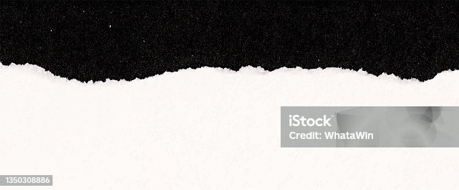 istock Vector background torn paper with copy space for your text 1350308886