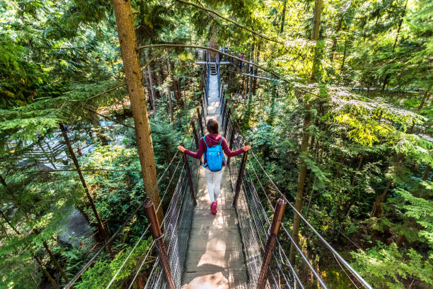 mulher turista de viagem do canadá caminhando na famosa atração capilano suspension bridge em north vancouver, british columbia, destino de férias canadense para o turismo - vancouver suspension bridge bridge people - fotografias e filmes do acervo