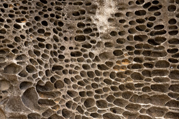 istock Porous Rock background 1350314362