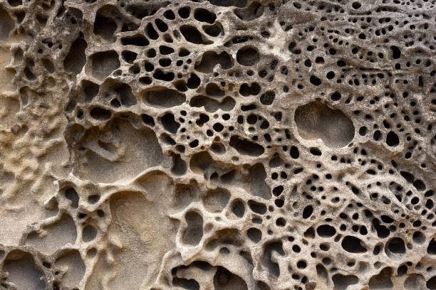 istock Porous Rock background 1350314400
