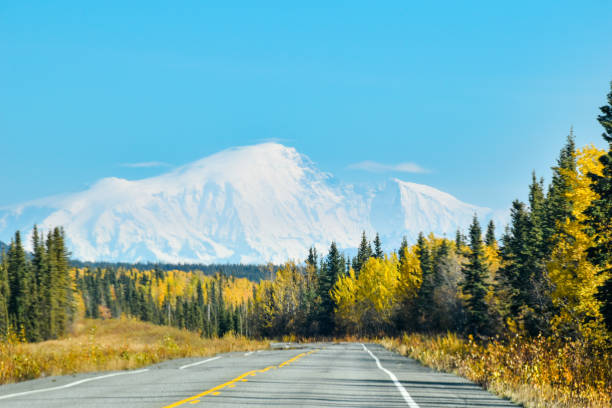 istock Traveling in Alaska - Mount Drum 1350325923
