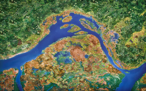istock Aerial View over Guana River Wildlife Preserve 1350330502