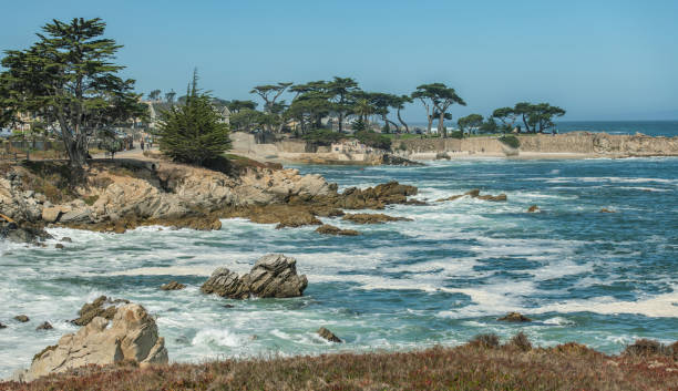 istock Lovers Point Pacific Grove California 1350334428