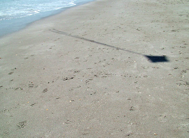 Cerf-volant d'ombre sur le sable - Photo