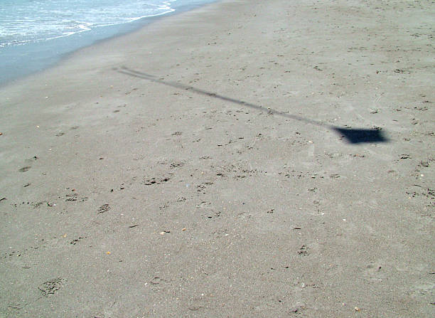 모래 솔개 Shadow 스톡 사진