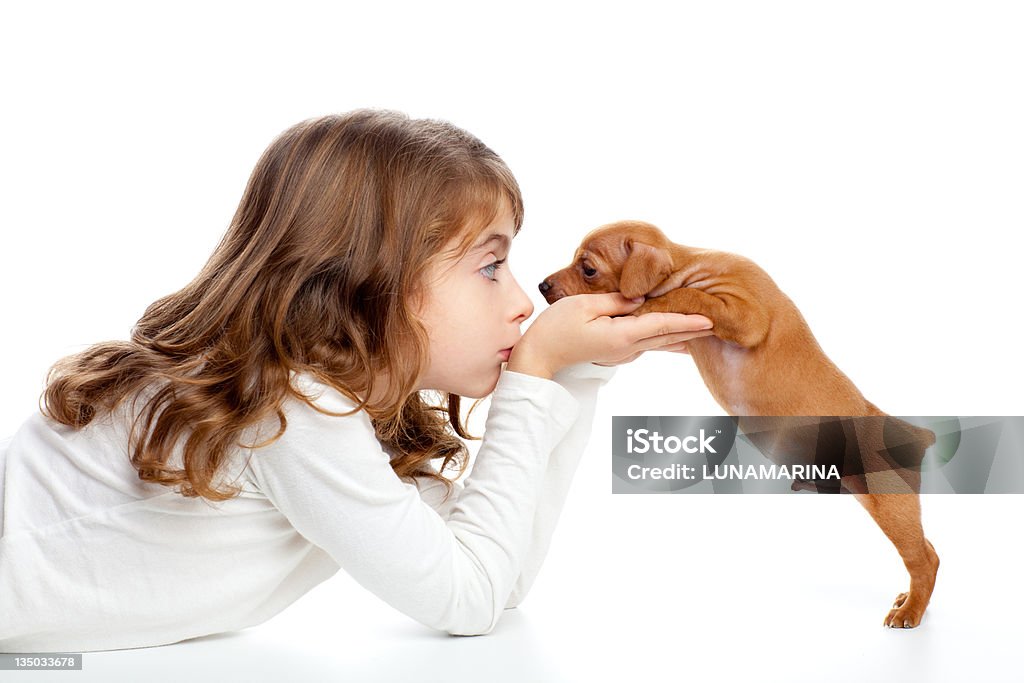Brunette profil fille avec mini pinscher de chien Chiot - Photo de Chiot libre de droits
