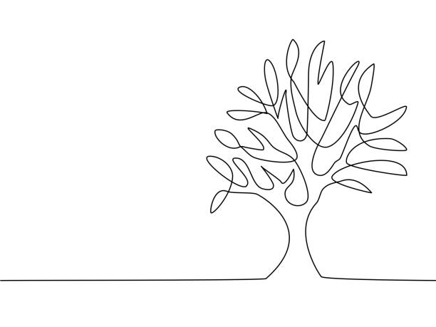 ilustrações, clipart, desenhos animados e ícones de desenho contínuo de linhas de árvores em um fundo branco. conceito ambiental. ilustração vetorial - treelined forest tree summer