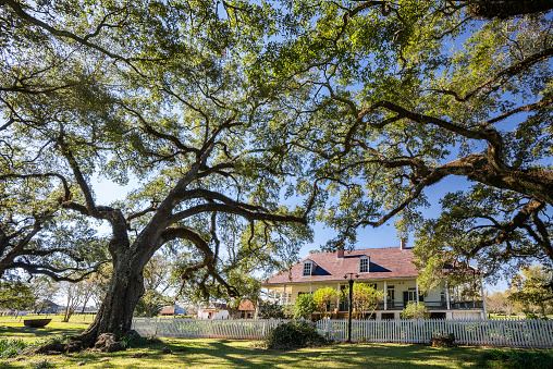 Natchitoches, Louisiana, USA - November 17, 2020: Exterior home on historical Oakland Plantation, dating from 1821, a French-Creole cotton plantation that has 17 buildings among live oaks that is open to the public.
