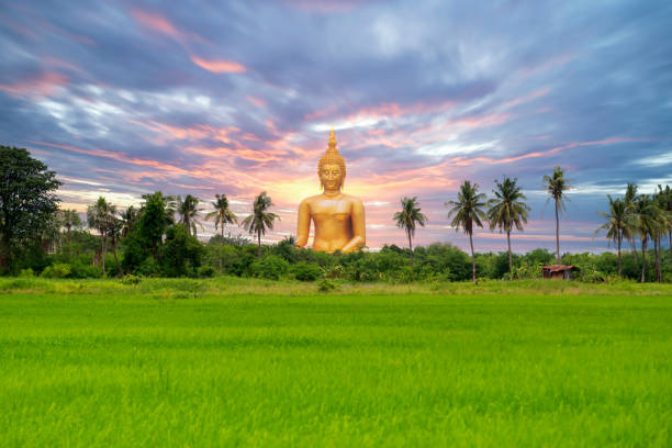 grande estátua de buda dourada no templo wat muang na província de ang thong, tailândia. - wat - fotografias e filmes do acervo