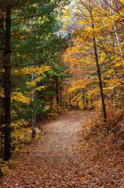 Grand-Coteau Park, Mascouche, Quebec, Canada in Fall stock photo