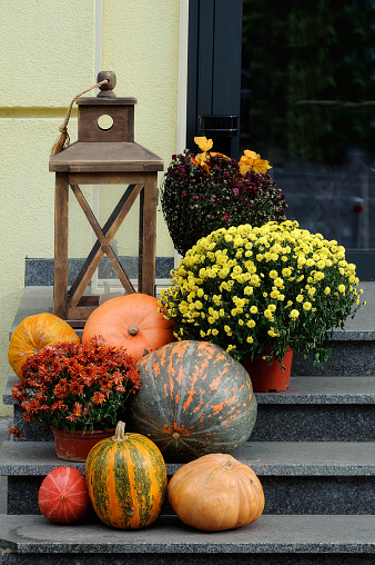 Halloween decorations using flowers and plants