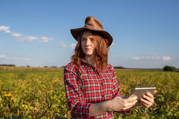 istock Farmer woman with tablet standing in soy field 1350357577