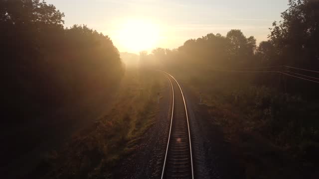 The train road is covered with morning fog, sunlight through tree branches and long shadows.