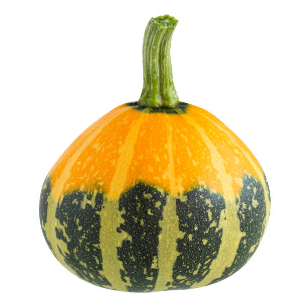 istock isolated decorative pumpkin on a white background 1350361015
