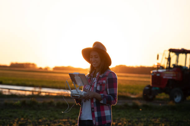 Farmer woman driving drone in field at sunset stock photo