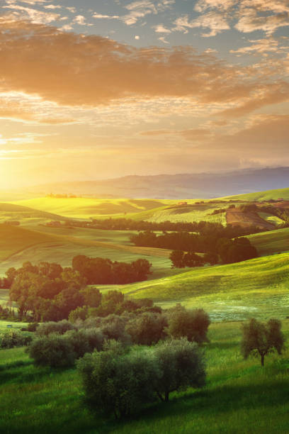 istock Sunrise in Tuscany 1350362748