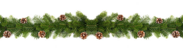 istock Christmas Border of tree branches 1350366005
