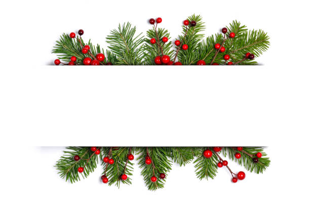 istock Christmas fir and red holly berry frame 1350366009