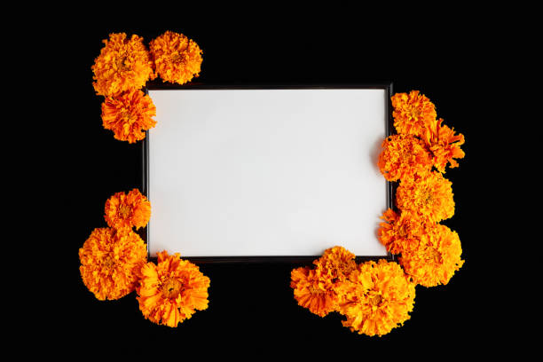 istock layout of fall frame with place for text. orange flowers on a black background. simple flat lay invitation or greeting banner mockup 1350367912