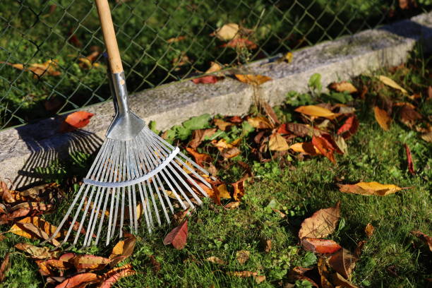 istock leaf rake in evening sun on the fence 1350368098