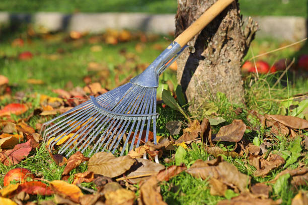 istock leaf rake with fallen leaves in the garden under a fruit tree at autumn 1350368105