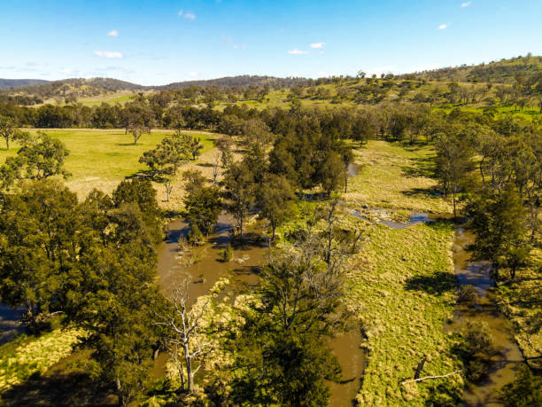 istock Seven River, Fladbury NSW Australia 1350369988