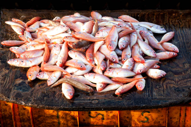 istock Sea fish market 1350371675