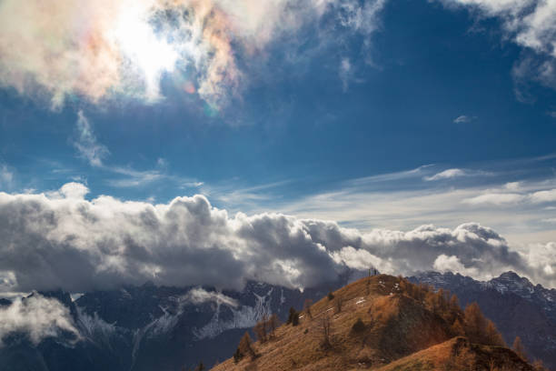 trekking an einem bewölkten herbsttag in den dolomiten friulane, friaul-julisch venetien - cloud day friuli venezia giulia pine tree stock-fotos und bilder