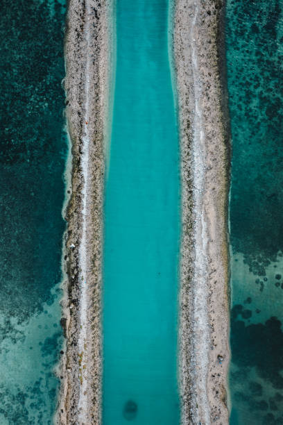 istock Entrance to a port 1350374610