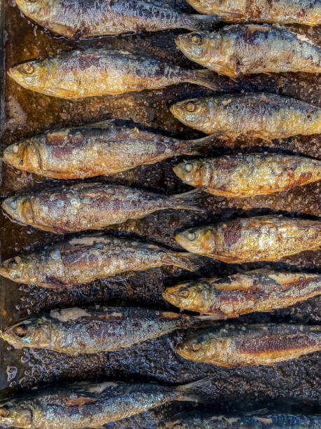 istock Grilled sardines on a grill plate. Prepared spanish pilchard style. 1350376943