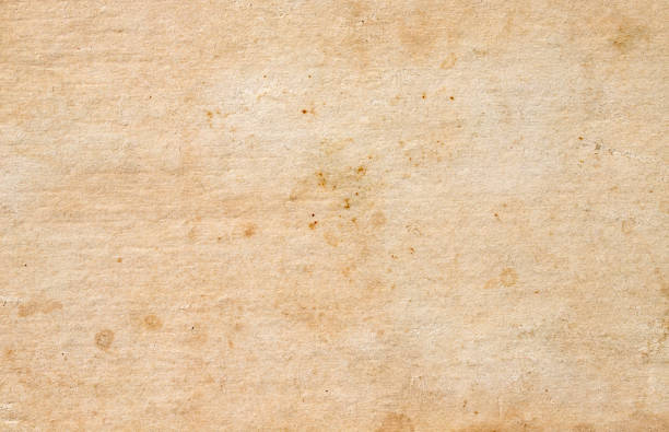 istock texture of old grunge paper surface - vintage background 1350377704