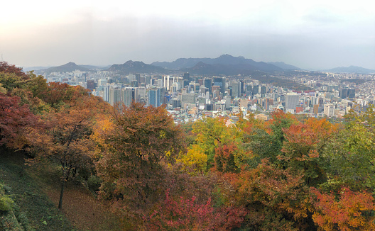 Autumn colors of Mt. Namsan of Seoul.