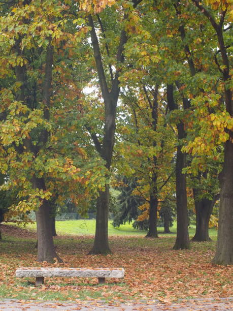 istock Park in autumn 1350380639