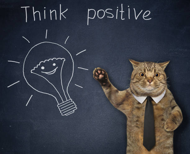 istock Cat coach teaches to think positive 2. 1350382491