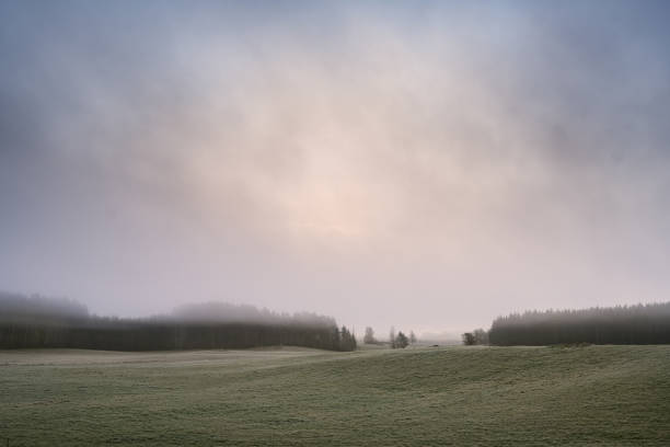 Open field with forest on the horizon and dramatic clouds in the sky. Beautiful landscape in Sweden.\nNature and landscape at its most beautiful. Frugal light in autumn environment island