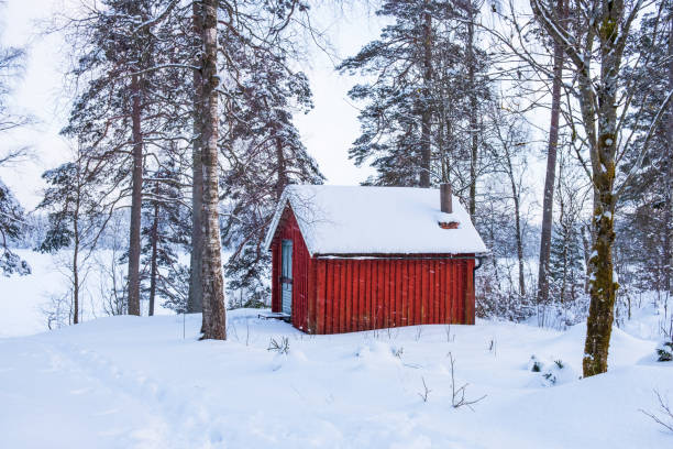 petit chalet rouge dans la forêt en hiver - woods glade winter wood photos et images de collection
