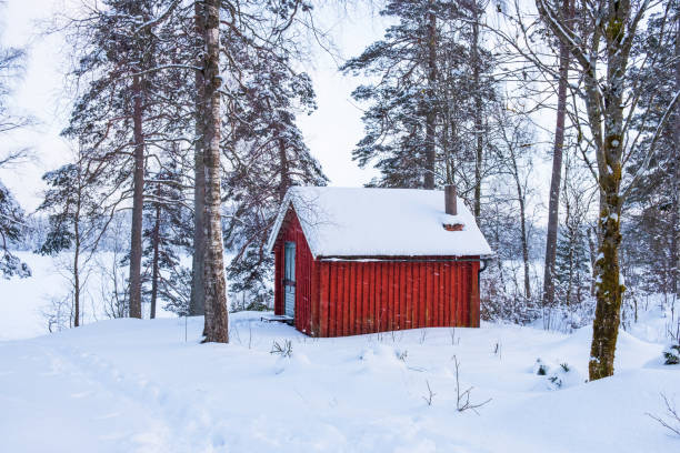 Trees and a house on field against sky during winter