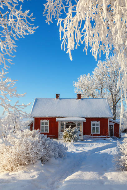 寒い冬の庭にある赤いコテージ - sweden cottage winter snow ストックフォトと画像